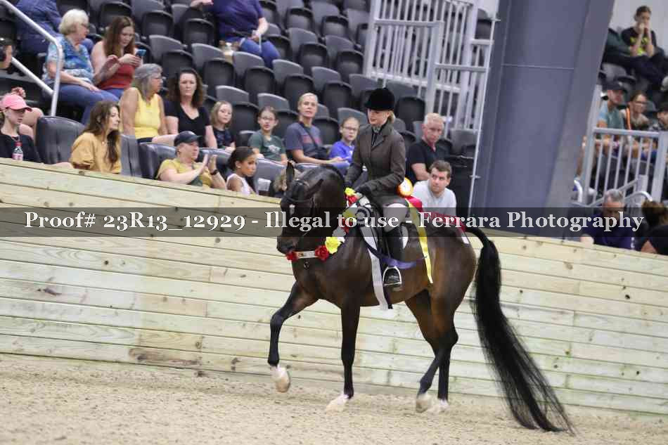 Proof Number 23R13_12929