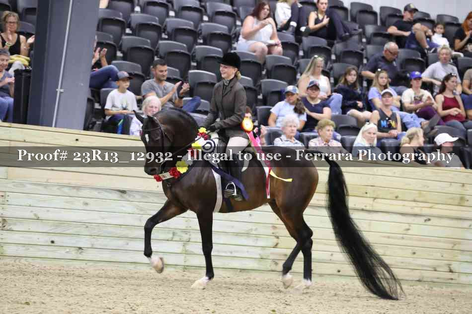 Proof Number 23R13_12932