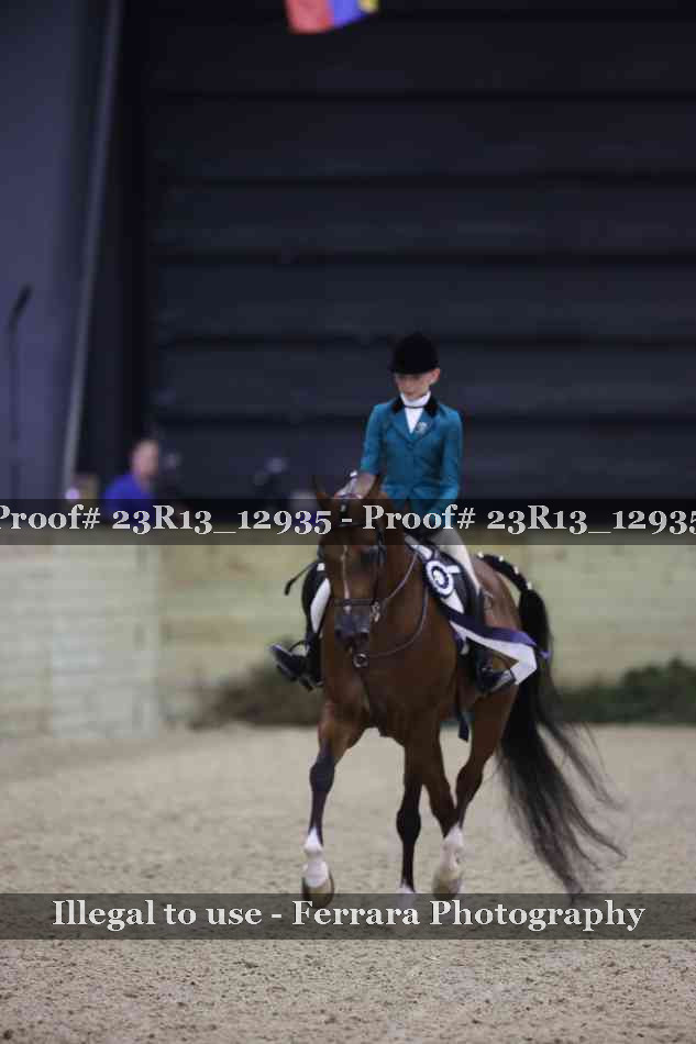 Proof Number 23R13_12935