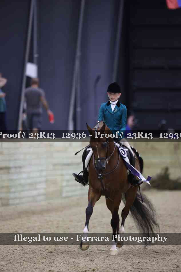 Proof Number 23R13_12936