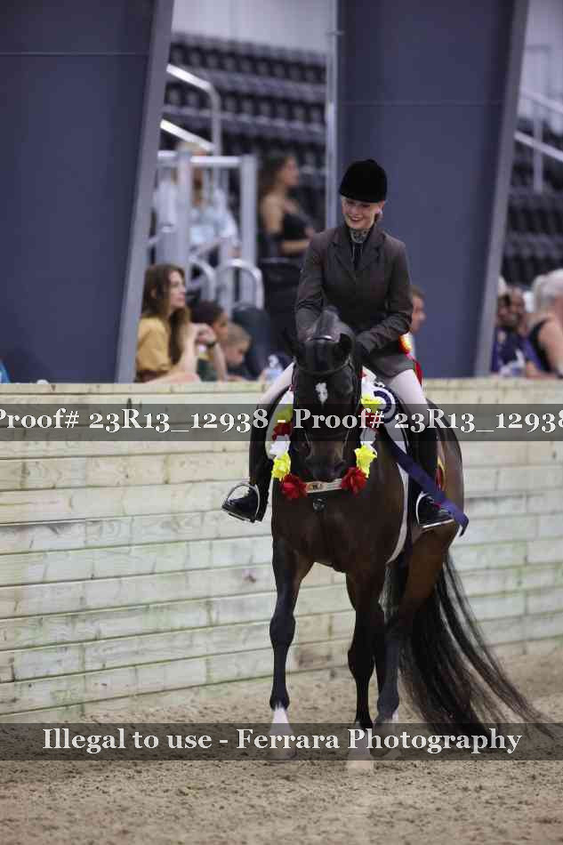 Proof Number 23R13_12938