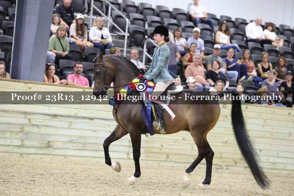 Proof Number 23R13_12942