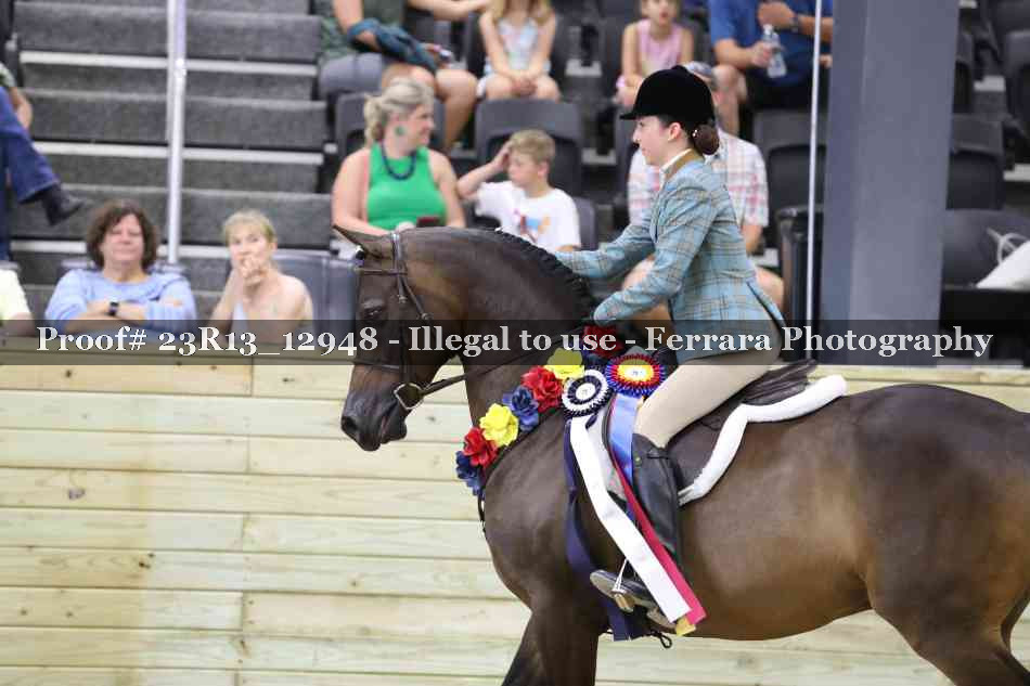 Proof Number 23R13_12948