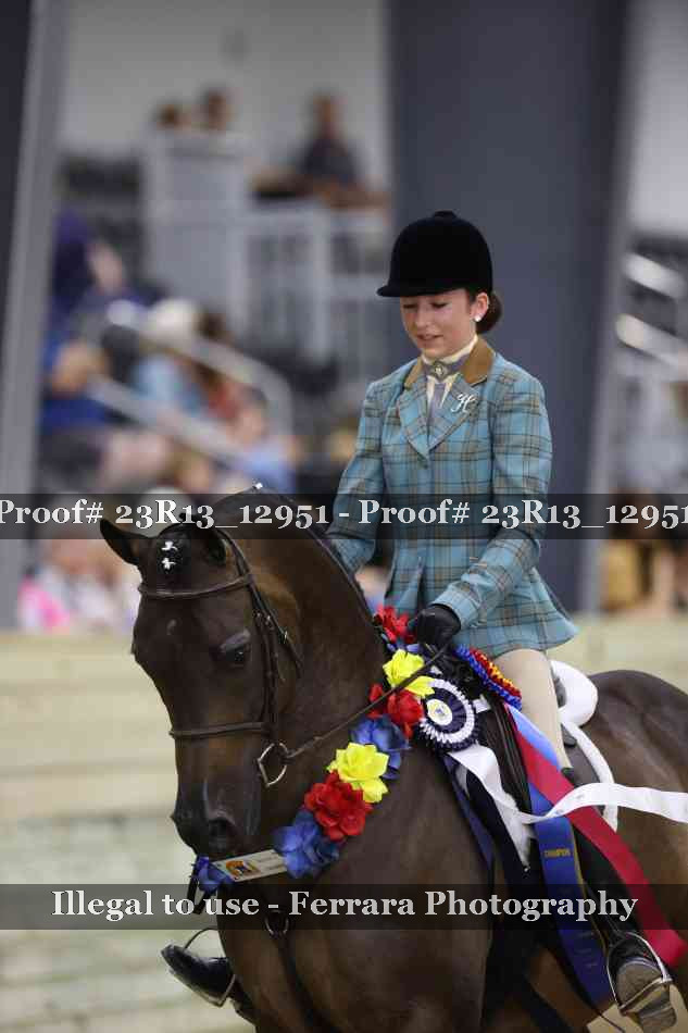 Proof Number 23R13_12951