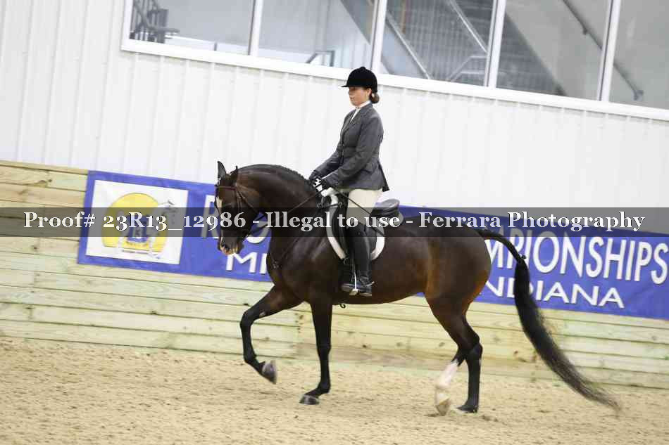 Proof Number 23R13_12986