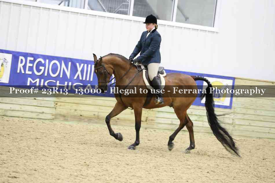 Proof Number 23R13_13000