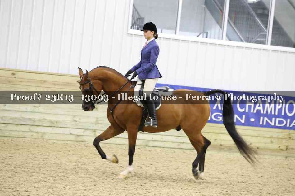 Proof Number 23R13_13003