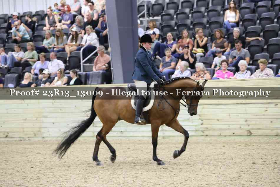 Proof Number 23R13_13009