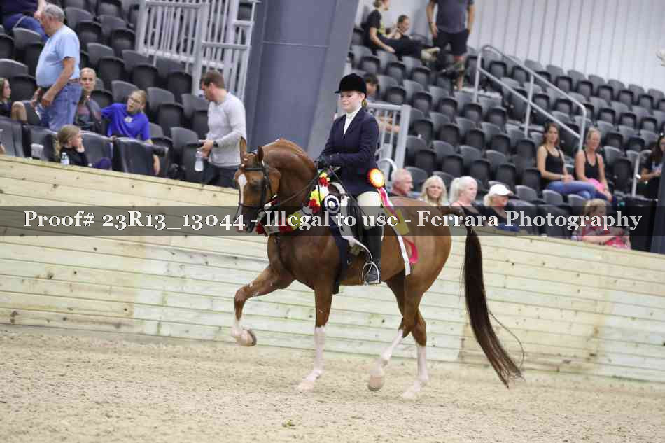 Proof Number 23R13_13044