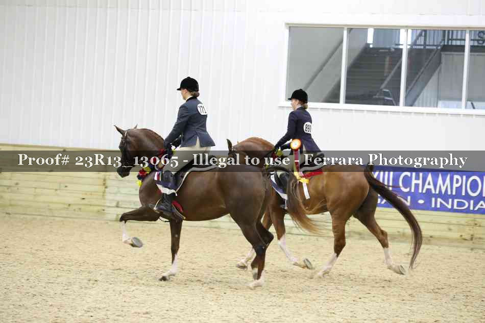 Proof Number 23R13_13065
