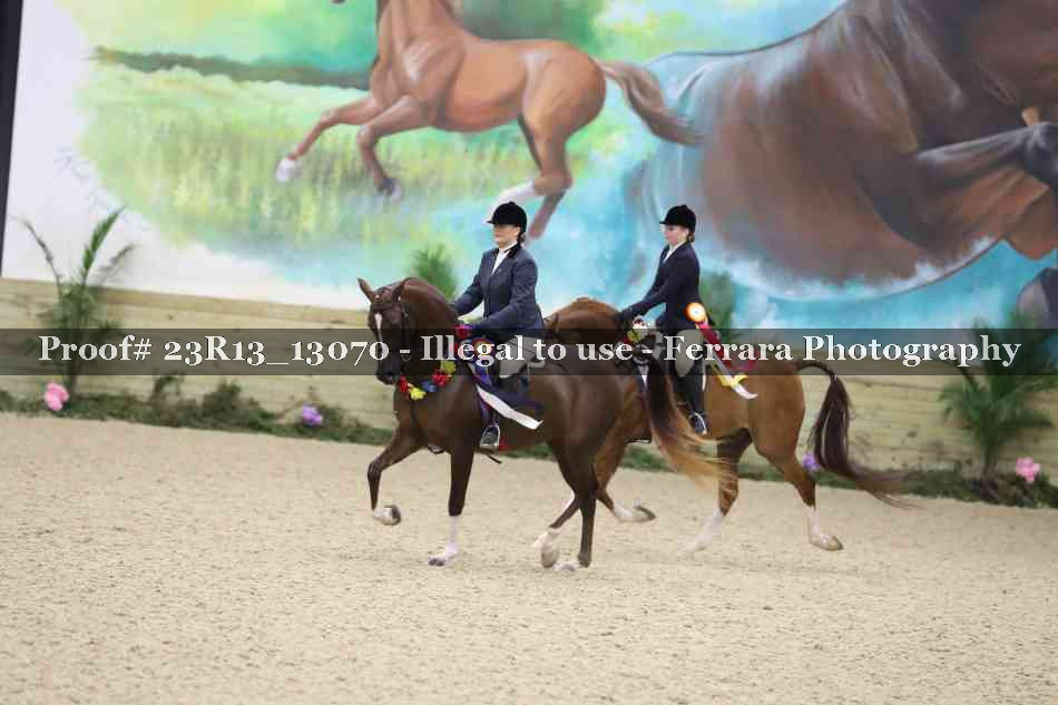 Proof Number 23R13_13070