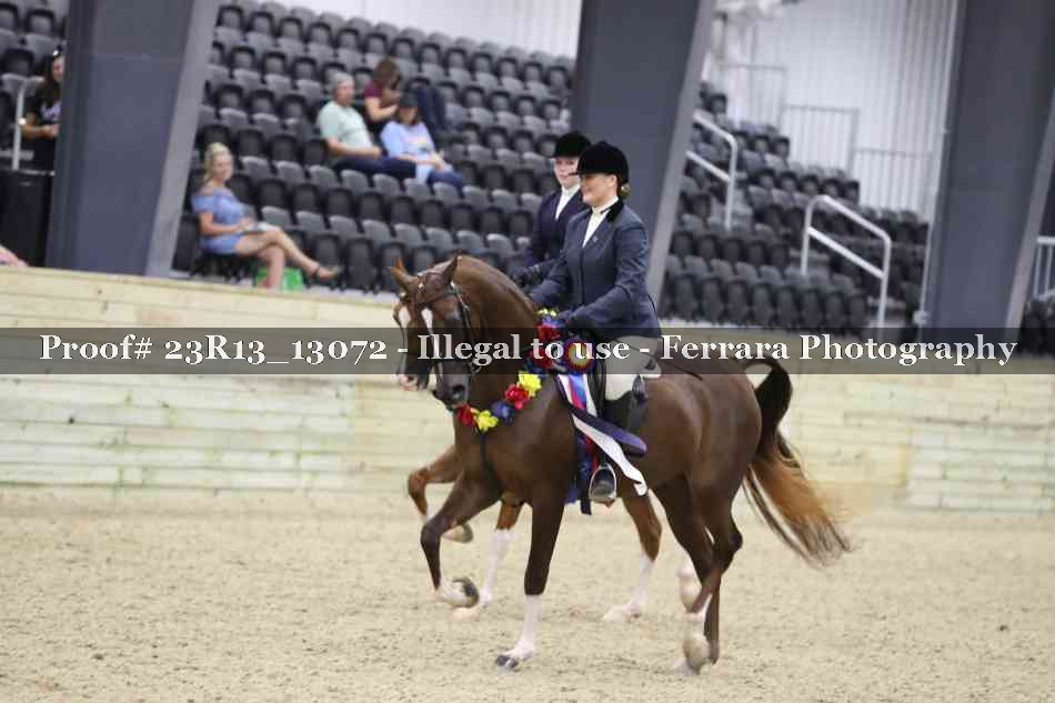Proof Number 23R13_13072