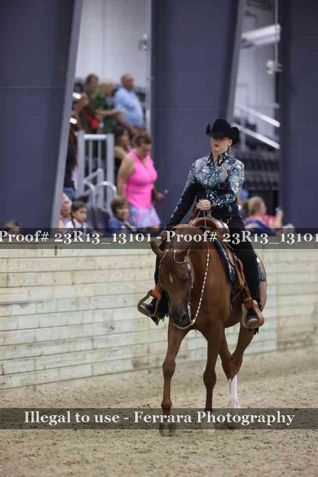 Proof Number 23R13_13101