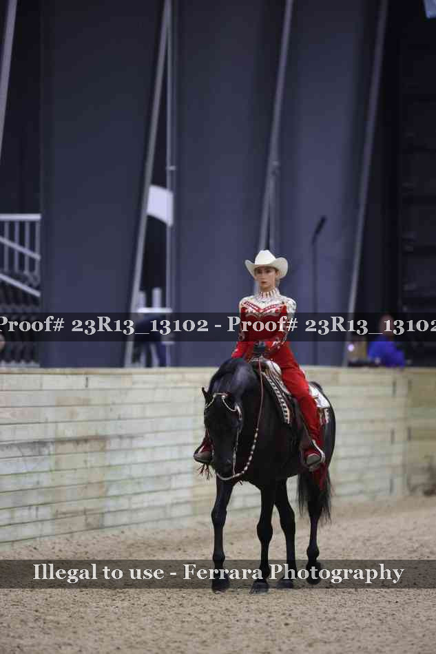 Proof Number 23R13_13102
