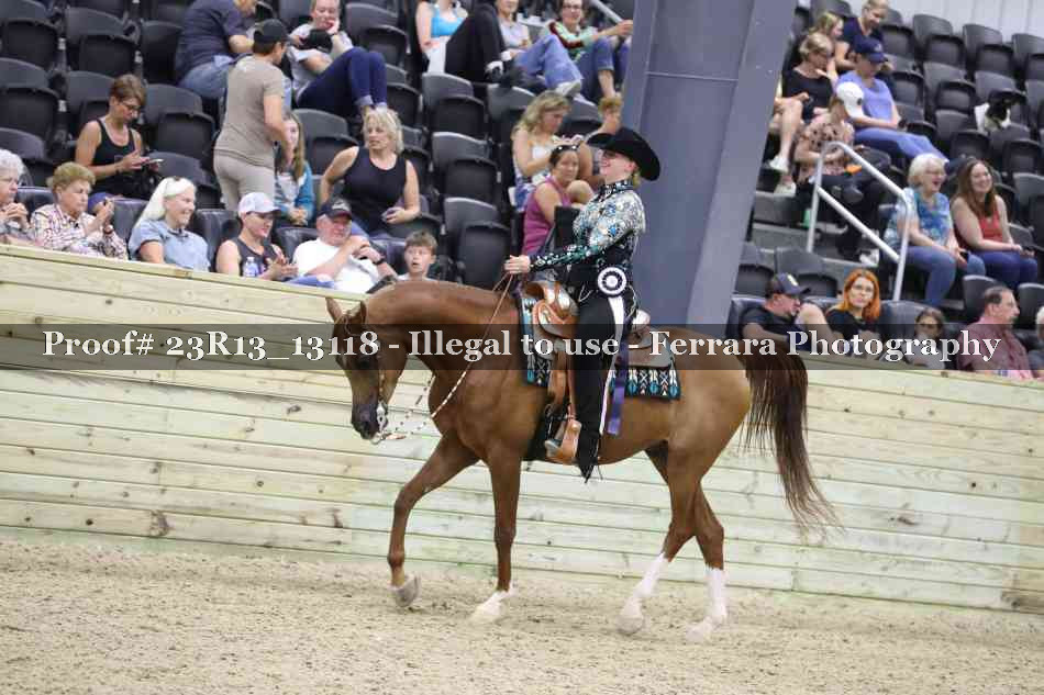 Proof Number 23R13_13118