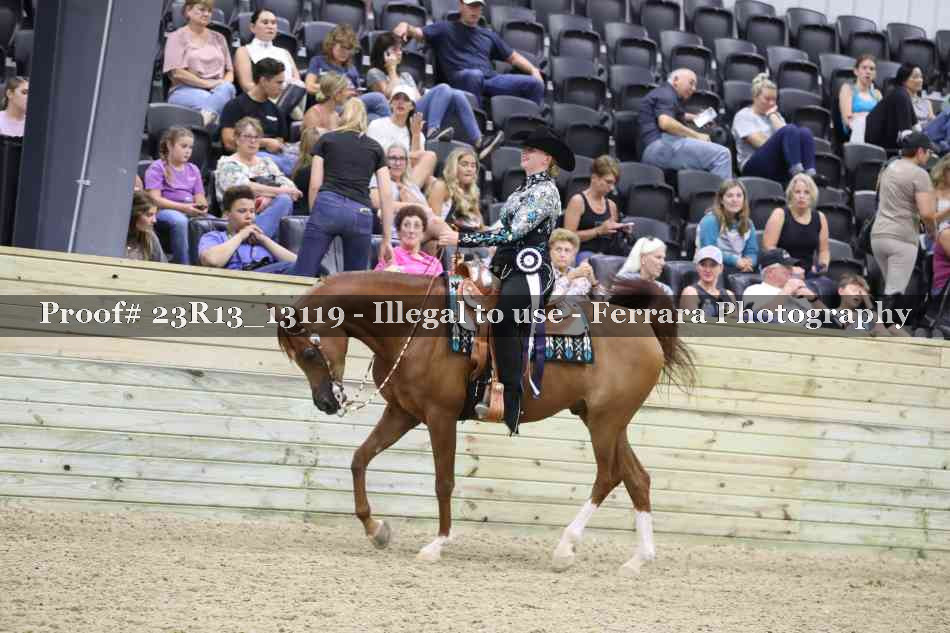Proof Number 23R13_13119