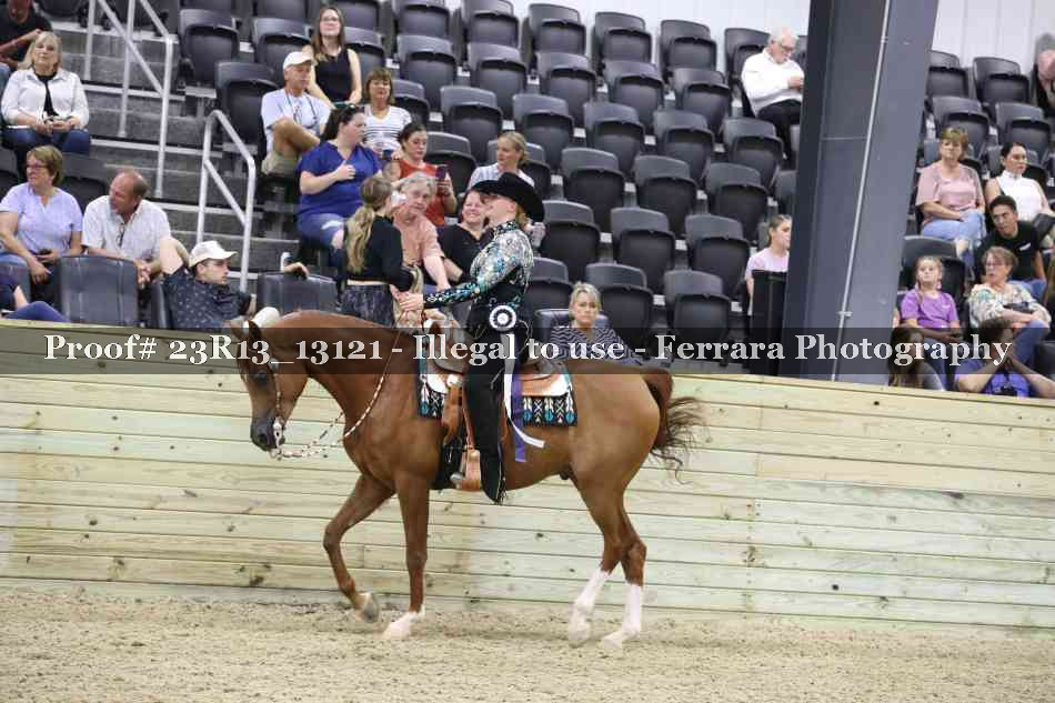 Proof Number 23R13_13121