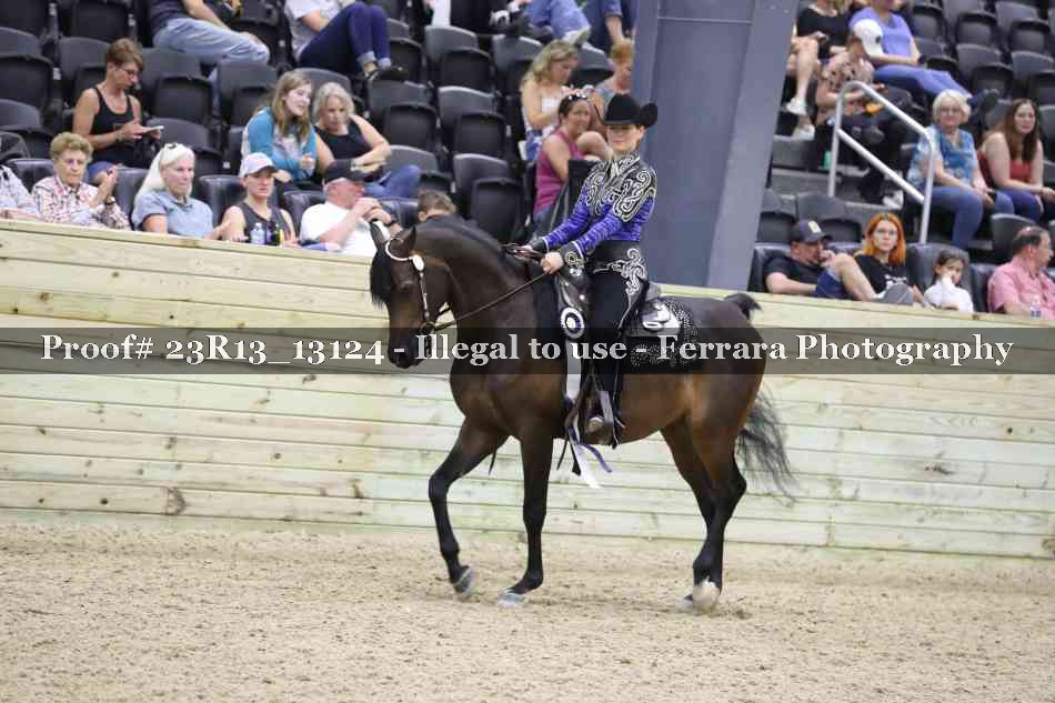Proof Number 23R13_13124