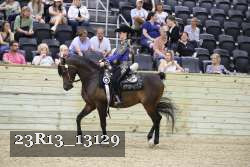 23R13_13129 thumbnail