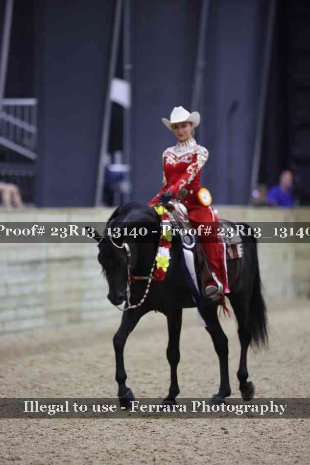 Proof Number 23R13_13140
