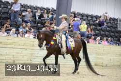 23R13_13155 thumbnail