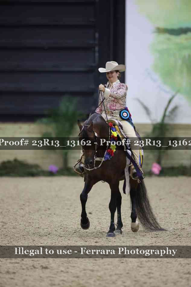 Proof Number 23R13_13162