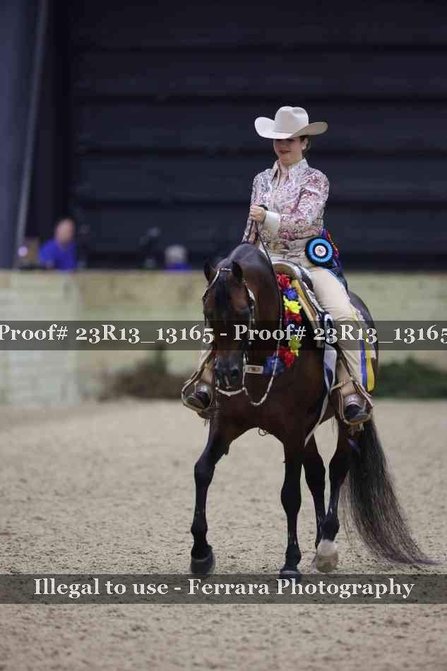 Proof Number 23R13_13165