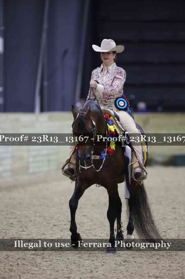 Proof Number 23R13_13167