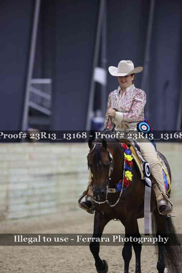 Proof Number 23R13_13168