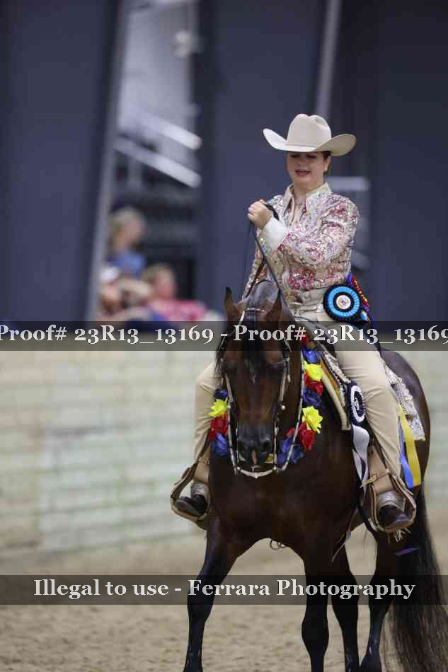 Proof Number 23R13_13169