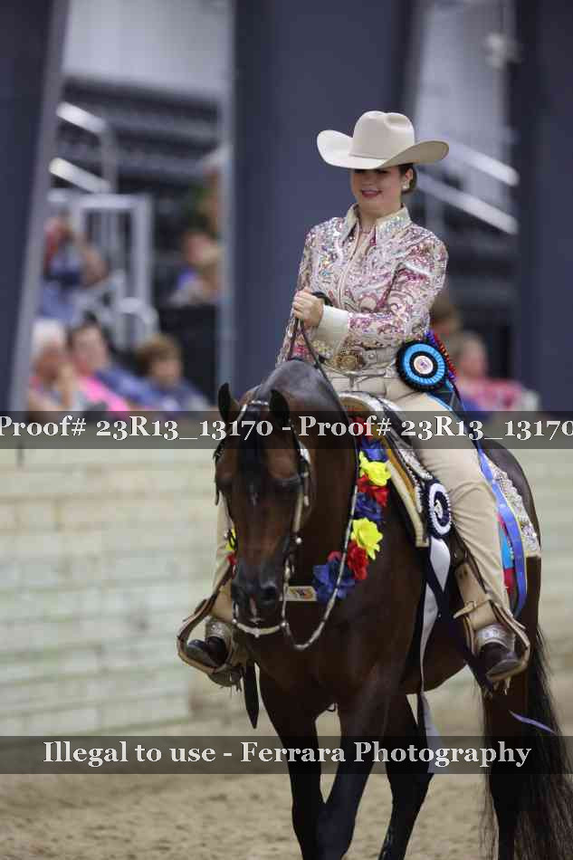 Proof Number 23R13_13170
