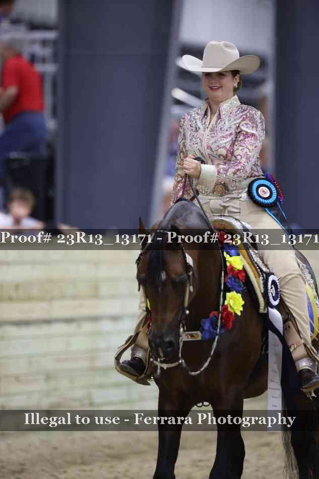 Proof Number 23R13_13171