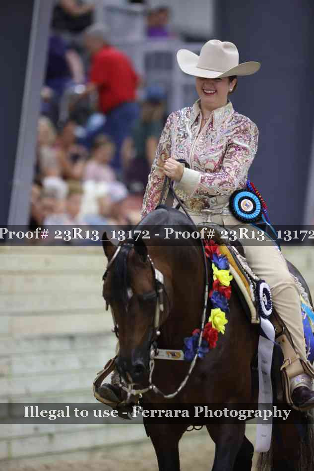 Proof Number 23R13_13172