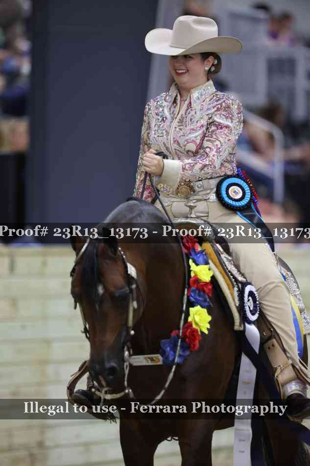 Proof Number 23R13_13173