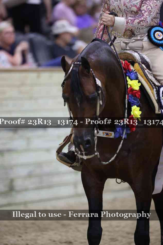 Proof Number 23R13_13174