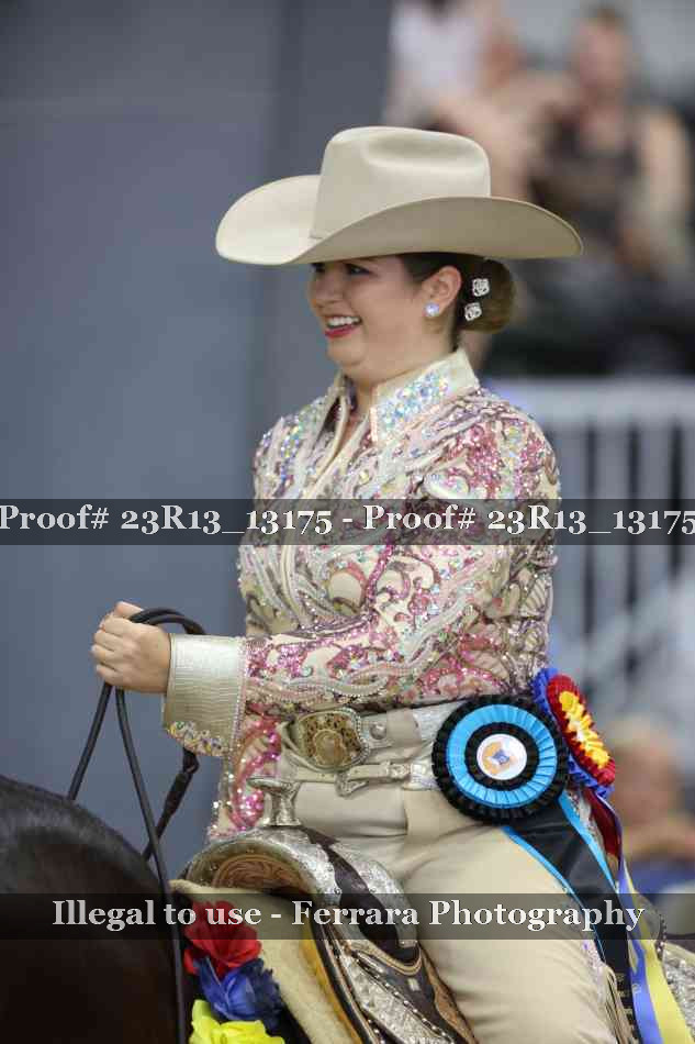 Proof Number 23R13_13175