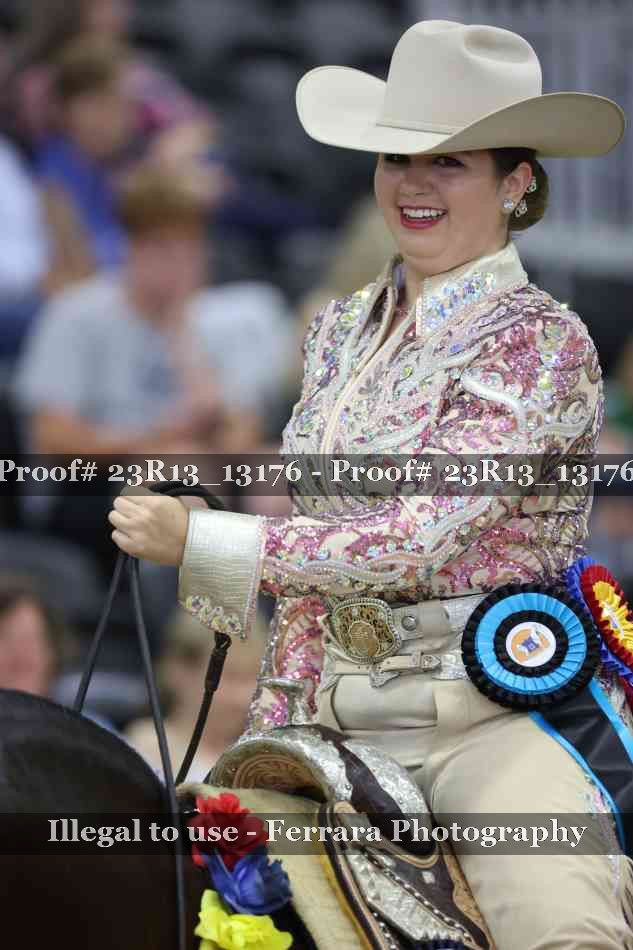 Proof Number 23R13_13176