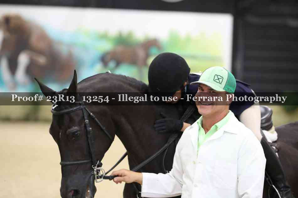 Proof Number 23R13_13254
