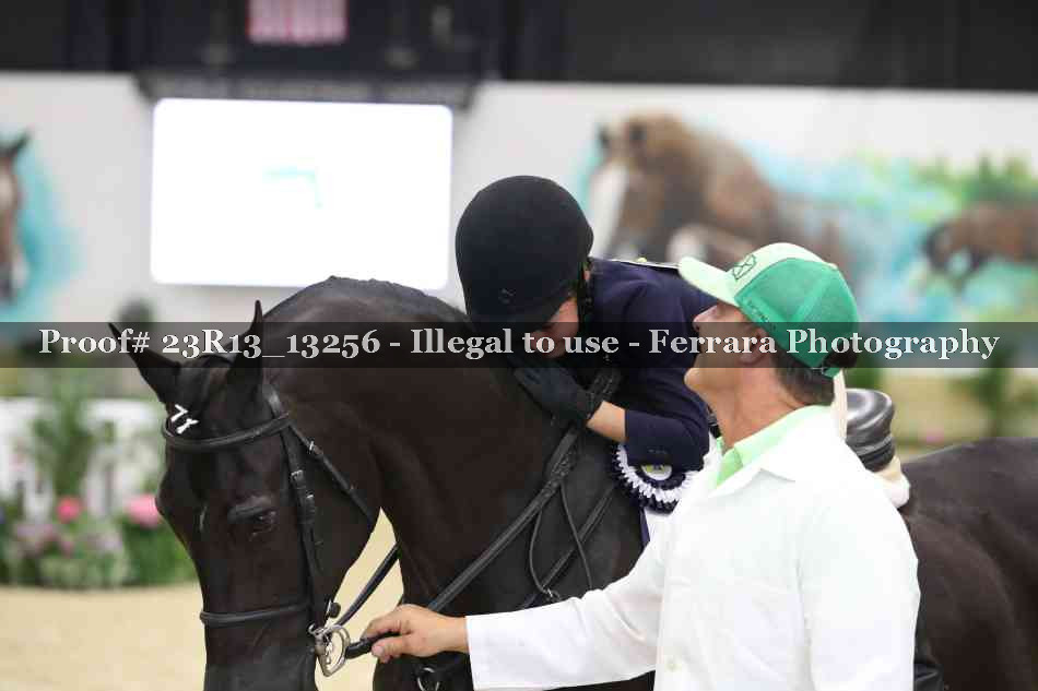 Proof Number 23R13_13256