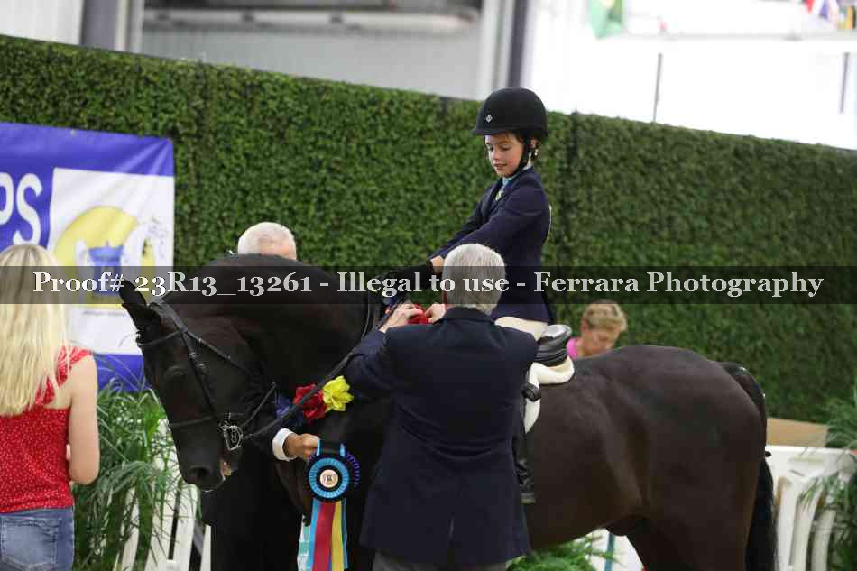 Proof Number 23R13_13261