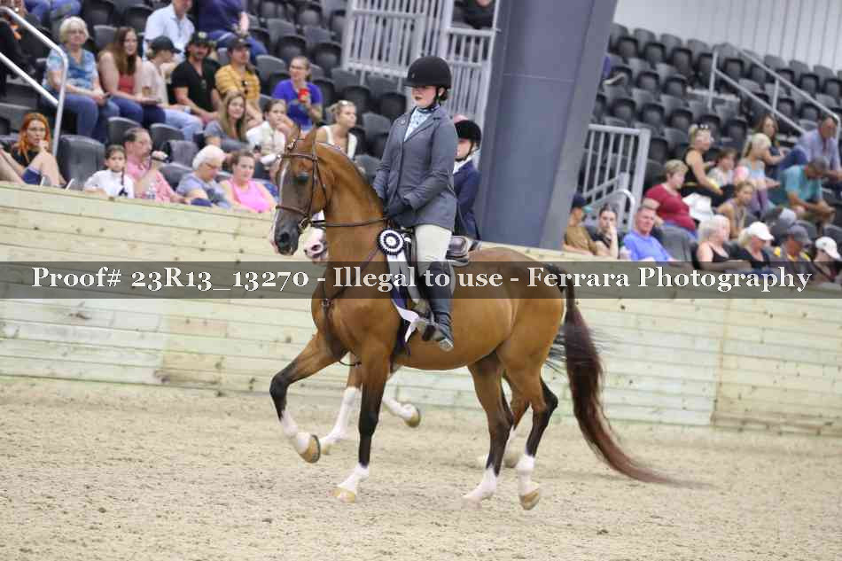 Proof Number 23R13_13270