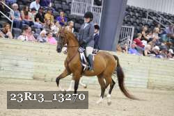 23R13_13270 thumbnail