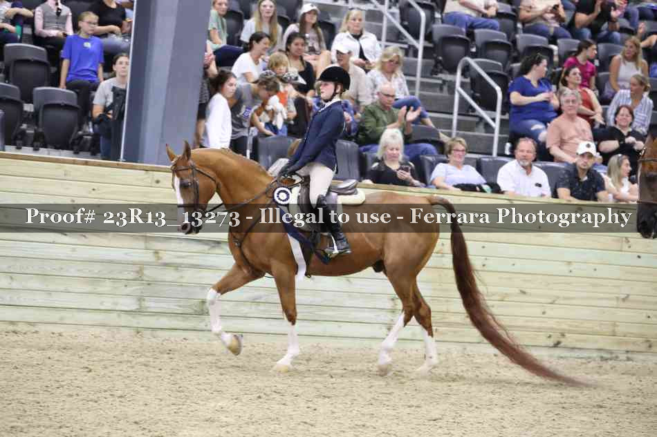 Proof Number 23R13_13273