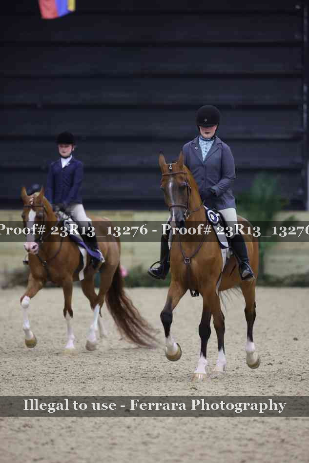 Proof Number 23R13_13276