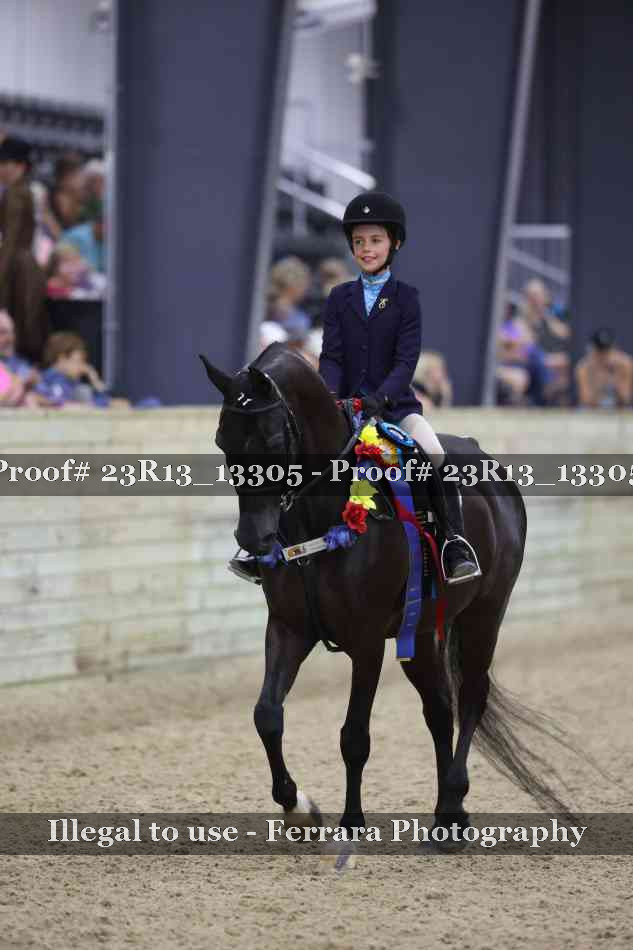Proof Number 23R13_13305