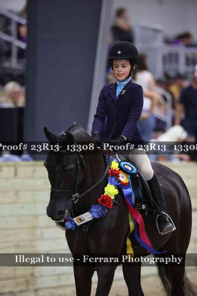 Proof Number 23R13_13308