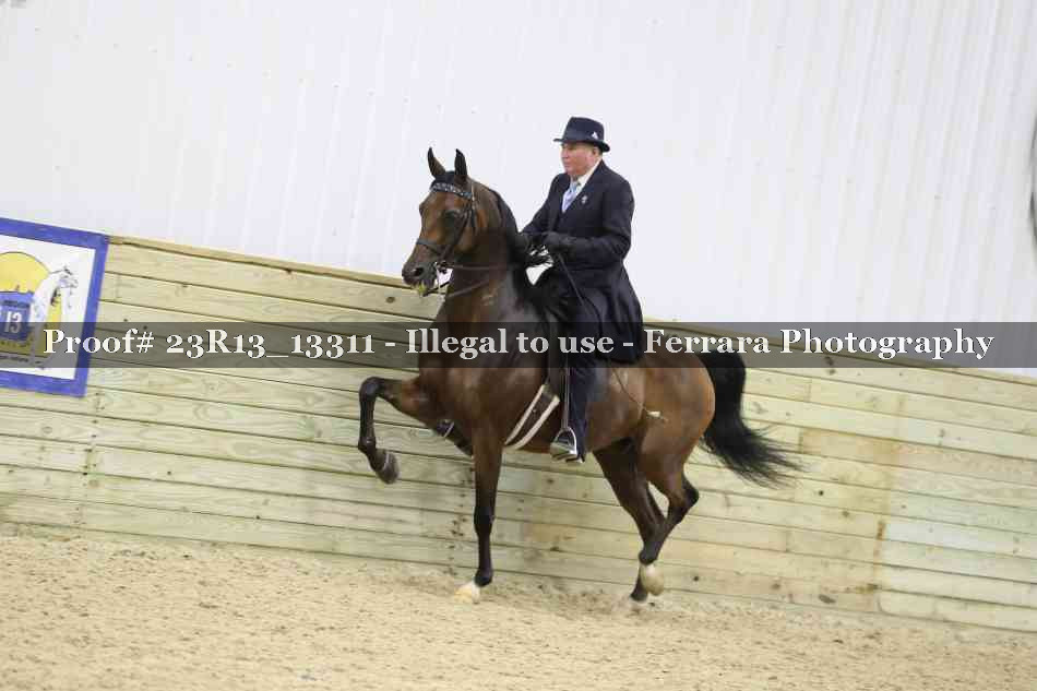 Proof Number 23R13_13311