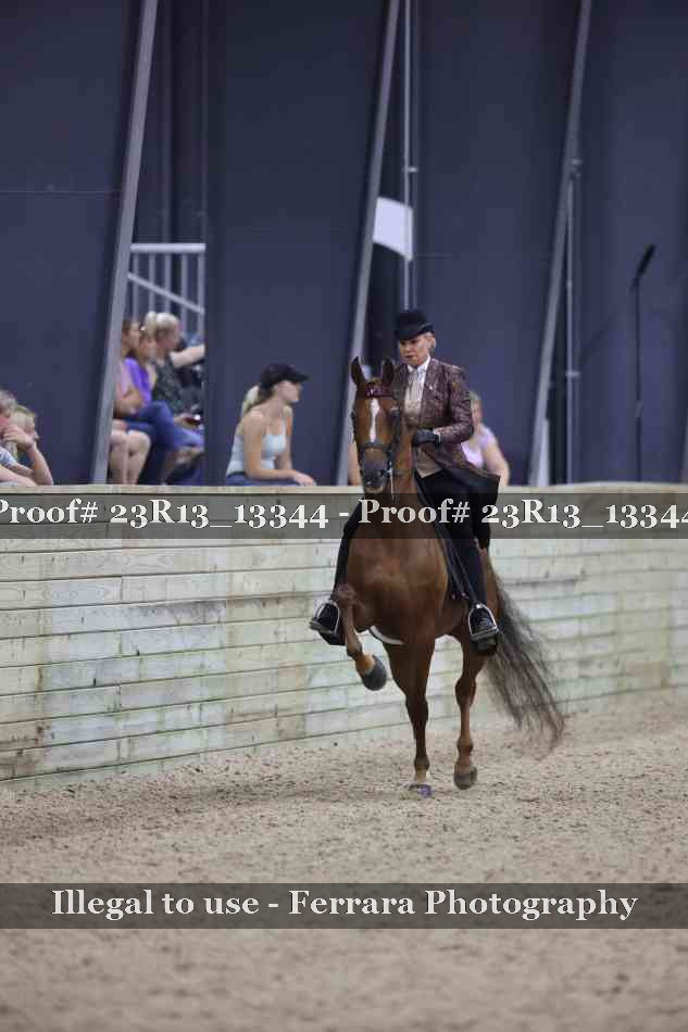 Proof Number 23R13_13344