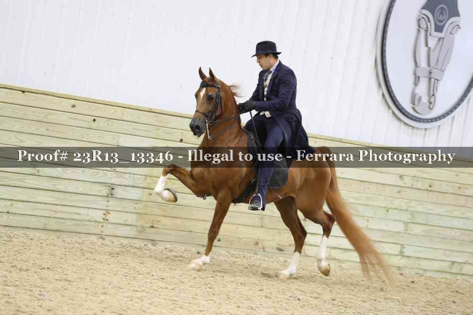 Proof Number 23R13_13346