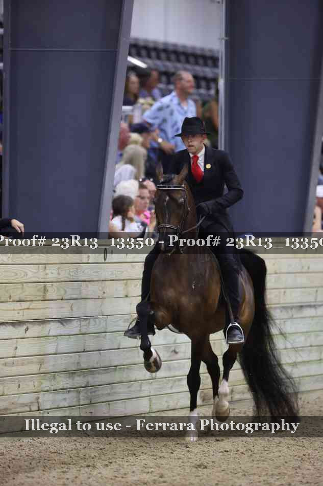 Proof Number 23R13_13350